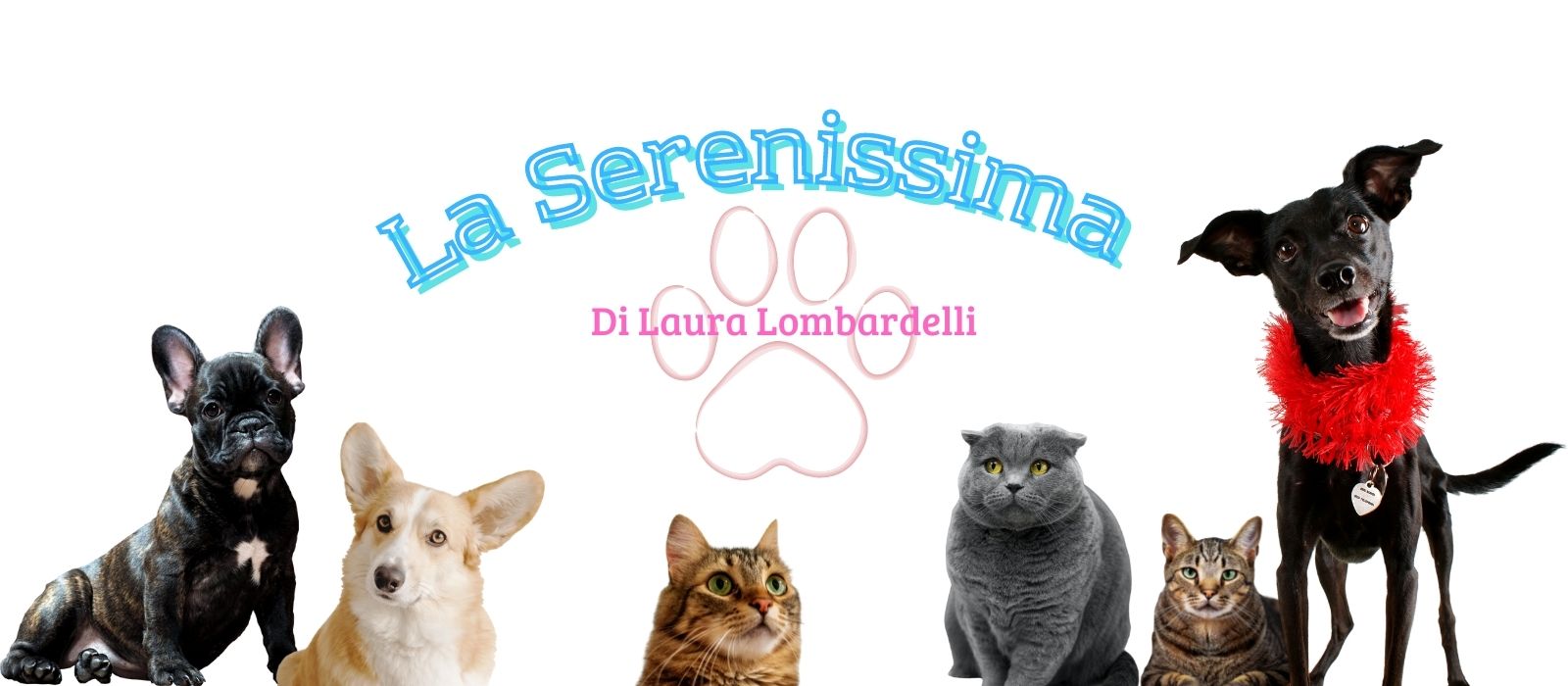 La Serenissima Veterinaria di Laura Lombardelli a Monfalcone
