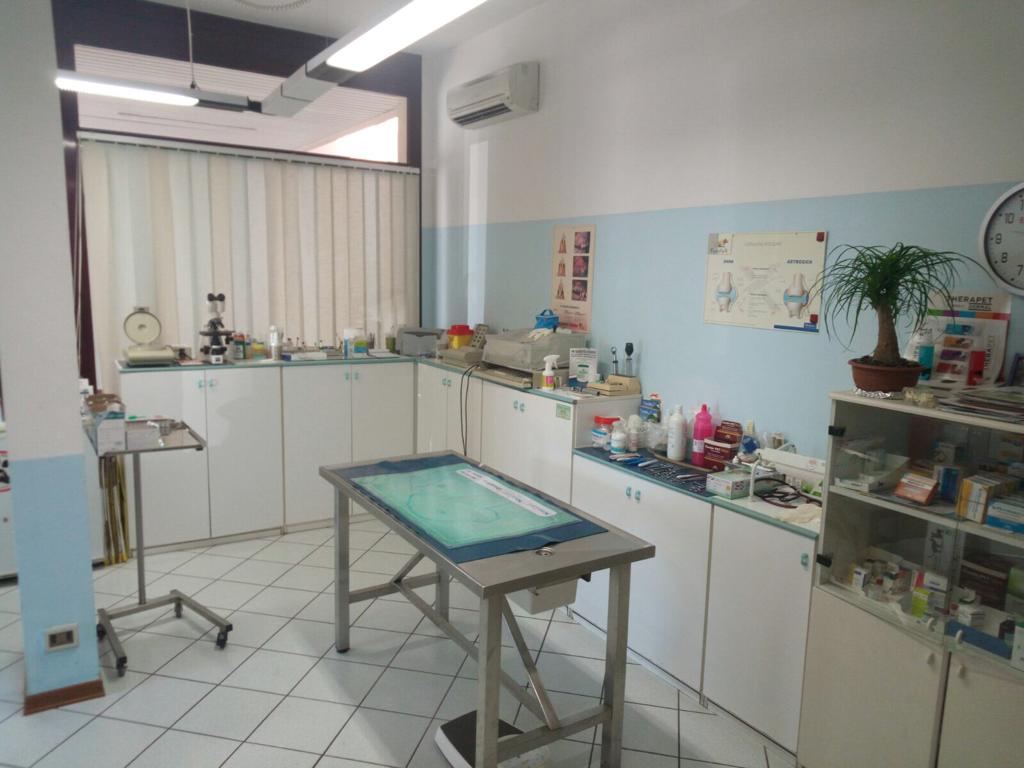 Saletta di "La Serenissima Veterinaria di Laura Lombardelli" a Monfalcone